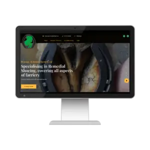 sbfwebsite